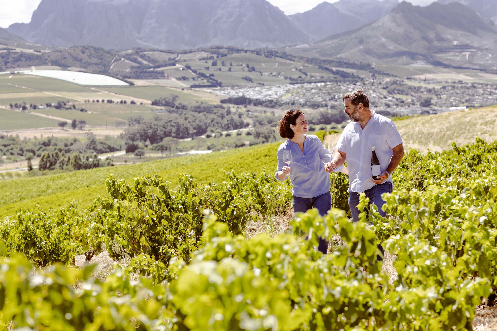 Wijndomein Kruger Family Wines